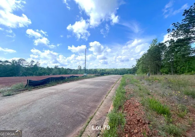 Photo 3 of Land for sale at 190 Oakdale Way, Temple, GA 30179 | MLS# 10815767 | Listing updated on 2026-09-17