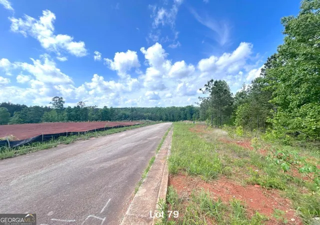 Photo 4 of Land for sale at 190 Oakdale Way, Temple, GA 30179 | MLS# 10815767 | Listing updated on 2026-09-17