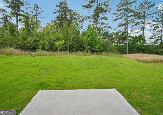 58th image of 16 Rise Rd, Adairsville, GA 30103 | MLS# 10723597