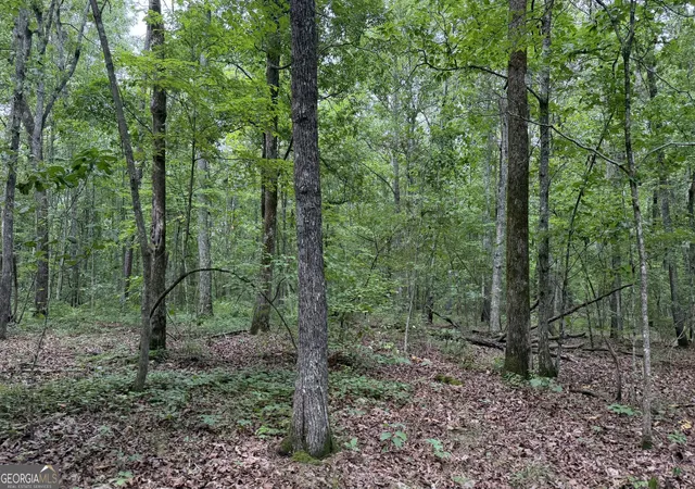 2nd image of 0 Bunratty Wy Ne #259, Kingston, GA 30145 | MLS# 10806044