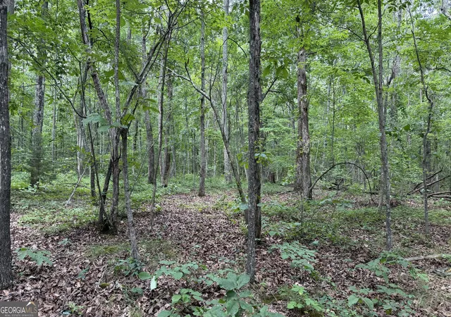 3rd image of 0 Bunratty Wy Ne #259, Kingston, GA 30145 | MLS# 10806044