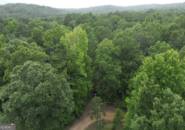 4th image of 0 Bunratty Wy Ne #259, Kingston, GA 30145 | MLS# 10806044