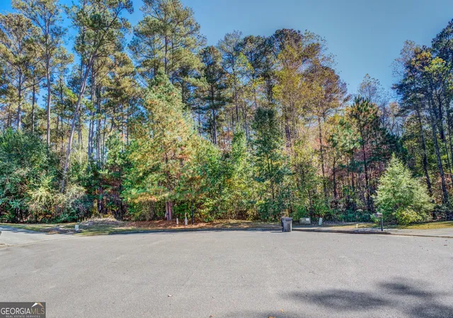 10th image of 1480 River Station Dr, Lawrenceville, GA 30045 | MLS# 10796301