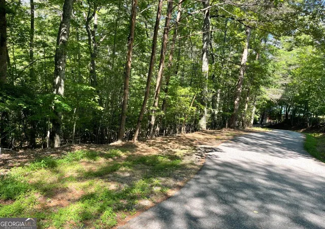 Homes for sale in Blairsville, GA | 0 Rizzitello Ln #5, Blairsville, GA 30512 | MLS# 10795845