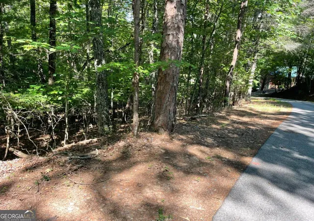 Homes for sale in Blairsville, GA | 0 Rizzitello Ln #5, Blairsville, GA 30512 | MLS# 10795845