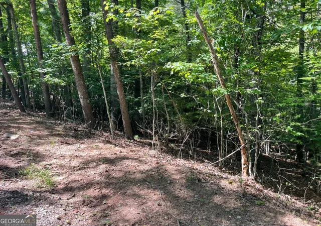 Photo 3 of Land for sale at 0 Rizzitello Ln #5, Blairsville, GA 30512 | MLS# 10795845 | Listing updated on 2026-09-10