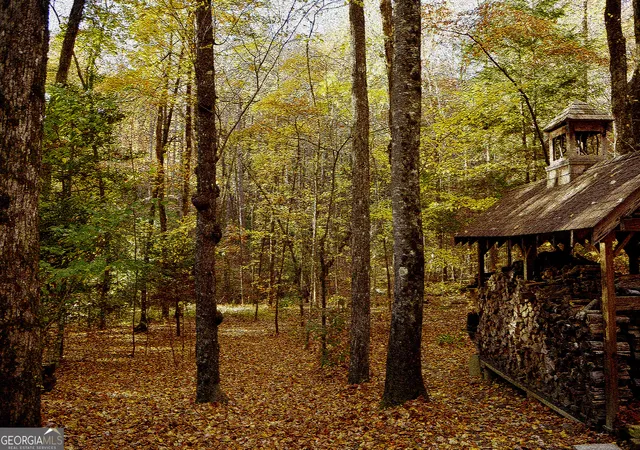 93rd image of 456 Bull Frog Ln, Clayton, GA 30525 | MLS# 10724886