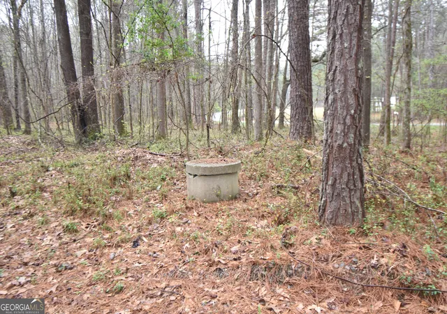 Photo 3 of Land for sale at 955 Cheatham Rd, Griffin, GA 30223 | MLS# 10717917 | Listing updated on 2026-08-17