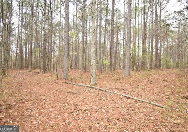 Photo 4 of Land for sale at 955 Cheatham Rd, Griffin, GA 30223 | MLS# 10717917 | Listing updated on 2026-08-17