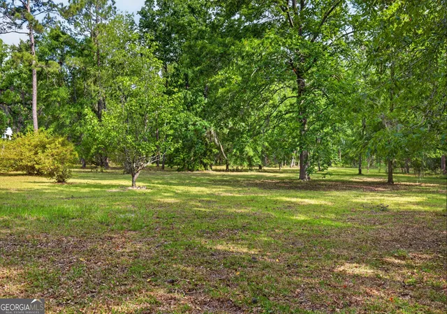 Homes for sale in Rocky Ford, GA | 110 Douglas Loop, Rocky Ford, GA 30455 | MLS# 10770375