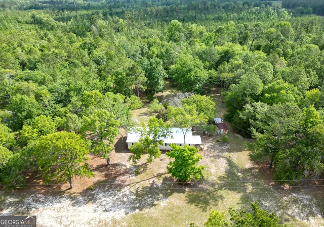 Homes for sale in Rocky Ford, GA | 110 Douglas Loop, Rocky Ford, GA 30455 | MLS# 10770375