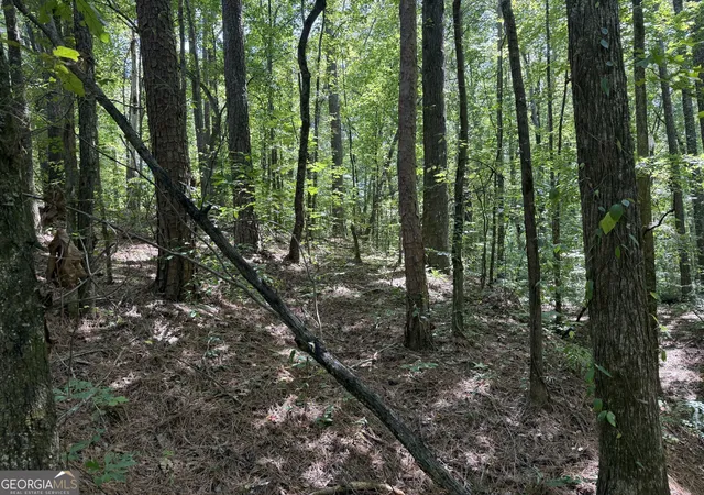 Photo 1 of Land for sale at 0 Ctr Point Rd, Carrollton, GA 30117 | MLS# 10829168 | Listing updated on 2026-09-02