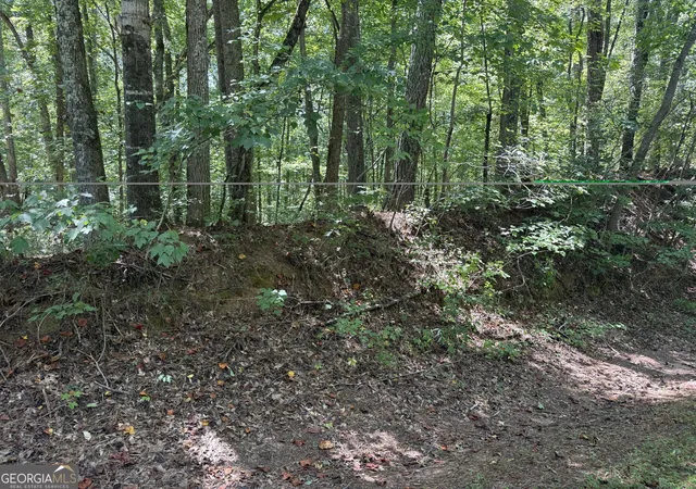 Photo 2 of Land for sale at 0 Ctr Point Rd, Carrollton, GA 30117 | MLS# 10829168 | Listing updated on 2026-09-02