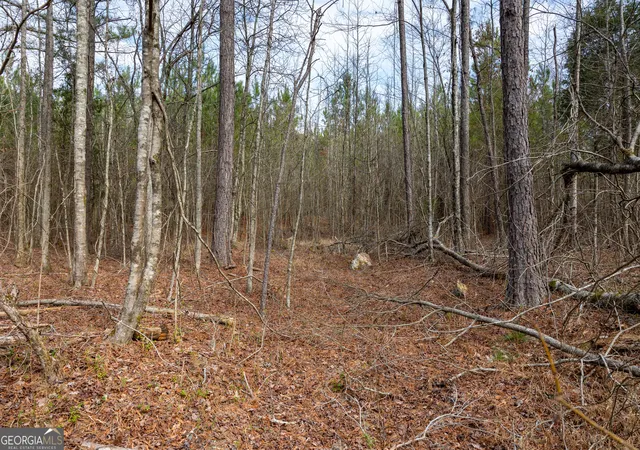 11th image of 0 Hwy 411, Rome, GA 30161 | MLS# 10812926