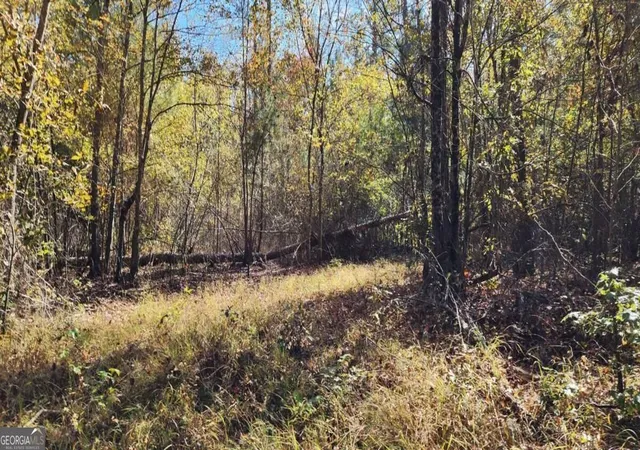 Photo 3 of Land for sale at 0 Highway 411, Rome, GA 30161 | MLS# 10812926 | Listing updated on 2026-09-10