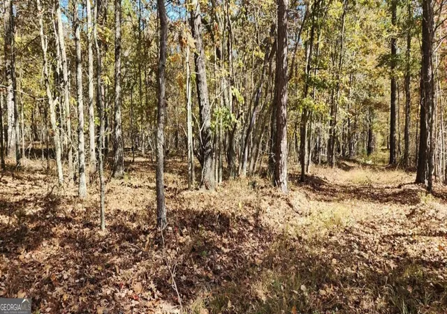 Photo 3 of Land for sale at 0 Highway 411, Rome, GA 30161 | MLS# 10812926 | Listing updated on 2026-09-10