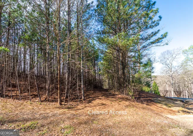 Homes for sale in White, GA | 14 Hawks Branch Ln, White, GA 30184 | MLS# 10718175