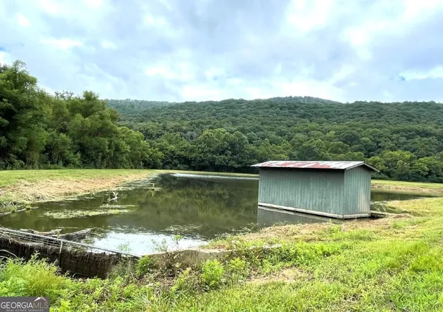 5th image of 0 County Road 111, Fackler, AL 35746 | MLS# 10813309