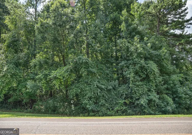 Photo 3 of Land for sale at 111 Crescent Dr, Forsyth, GA 31029 | MLS# 10829744 | Listing updated on 2026-09-03