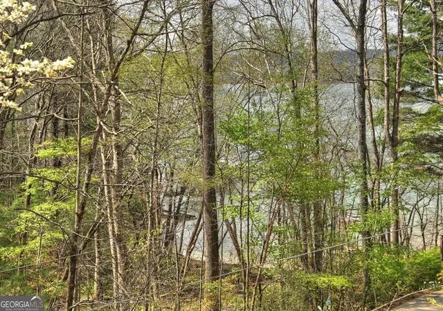 Homes for sale in Morganton, GA | 32 Lake Front, Morganton, GA 30560 | MLS# 10786792