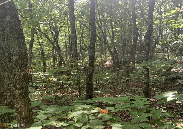 Photo 3 of Land for sale at 0 N Woods Pt 3 #3, Sky Valley, GA 30537 | MLS# 10185725 | Listing updated on 2026-08-12