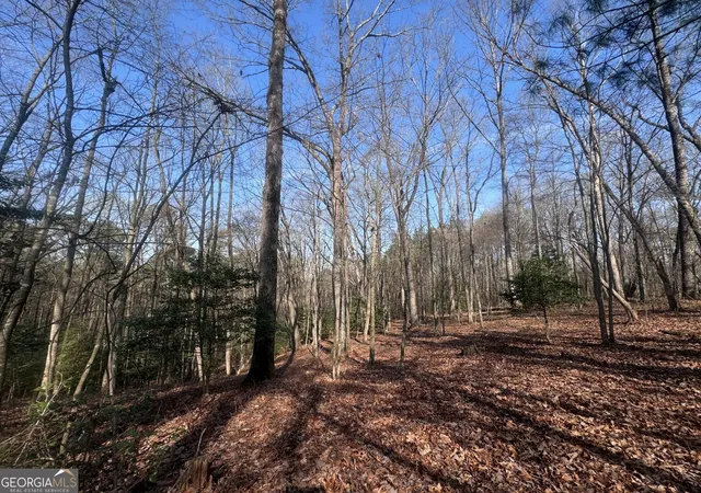 14th image of 0 Bible Baptist, Ellijay, GA 30536 | MLS# 10765994