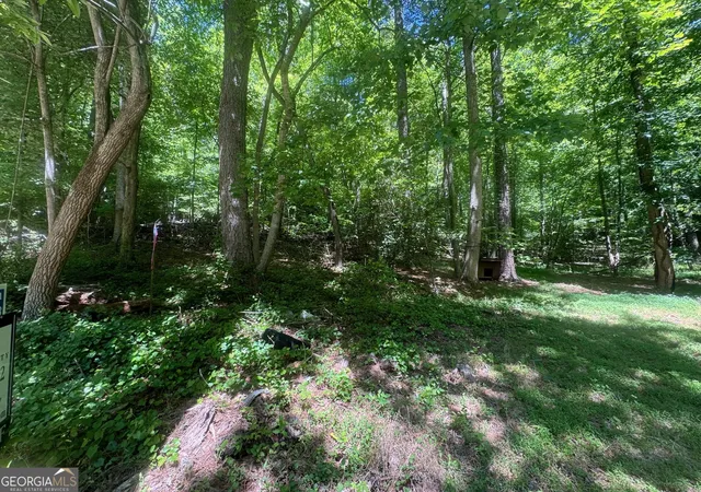 2nd image of 0 Bible Baptist, Ellijay, GA 30536 | MLS# 10765994