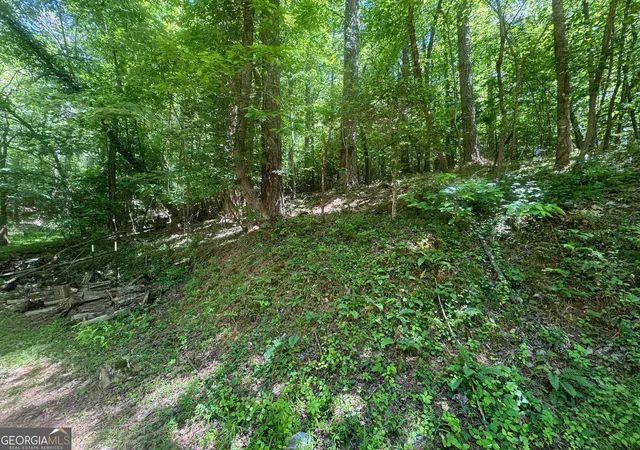 Photo 2 of Land for sale at 0 Bible Baptist, Ellijay, GA 30536 | MLS# 10765994 | Listing updated on 2026-08-20