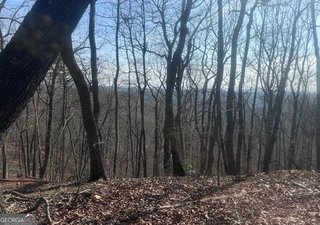 Photo 4 of Land for sale at 0 Bible Baptist, Ellijay, GA 30536 | MLS# 10765994 | Listing updated on 2026-08-20
