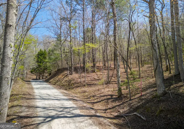 Photo 4 of Land for sale at 102 Acres Jennifer Ln, Mineral Bluff, GA 30559 | MLS# 10731008 | Listing updated on 2026-04-27