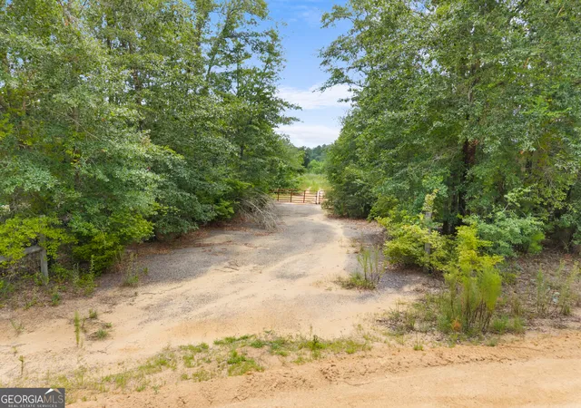 14th image of 0 Martin Rd, Pembroke, GA 31321 | MLS# 10736589