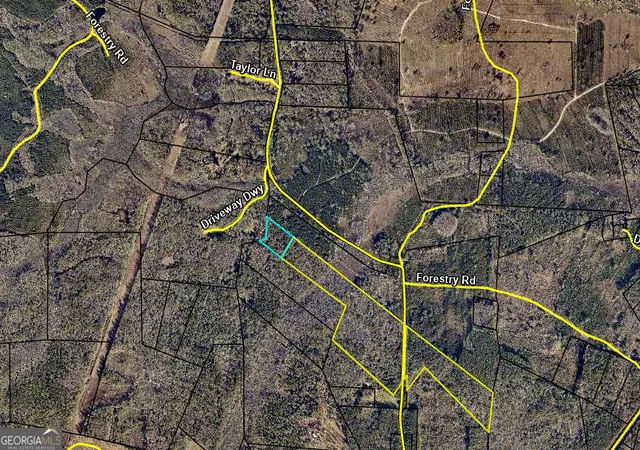 1st image of 0 Burnt Fort #V/L NW/S, Folkston, GA 31537 | MLS# 10805376