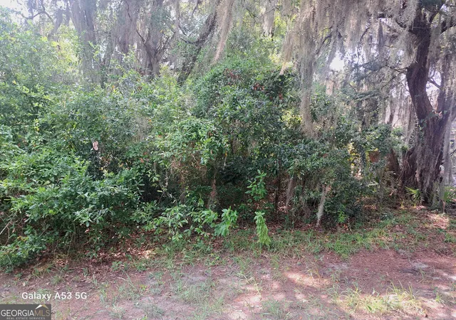 2nd image of 706 Ready St, Saint Marys, GA 31558 | MLS# 10817776