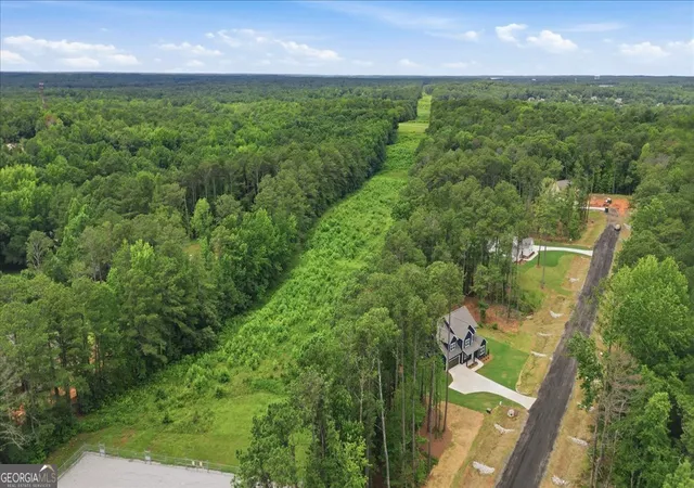 65th image of 2470 Fischer Road, Sharpsburg, GA 30277 | MLS# 10805889