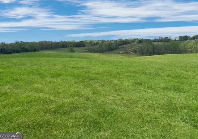 Photo 1 of Land for sale at 963 Gooseneck Rd #2, Eastanollee, GA 30538 | MLS# 10723879 | Listing updated on 2026-07-19