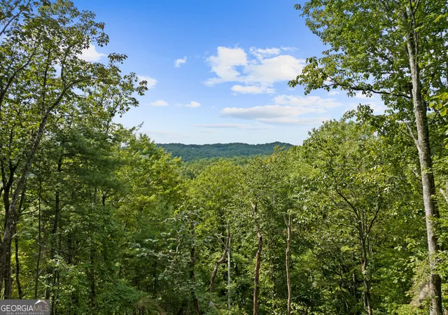 Photo 3 of Single family home for sale at 21 Mountain View Trl #3,4, Cherry Log, GA 30522 | MLS# 10835506 | Listing updated on 2026-09-11