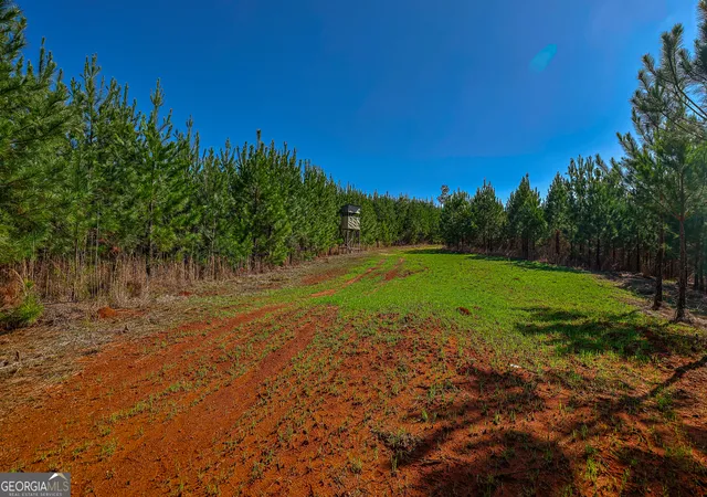 12th image of 0 Island Creek Rd, Sparta, GA 31087 | MLS# 10726063