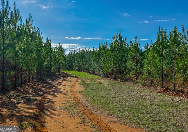 1st image of 0 Island Creek Rd, Sparta, GA 31087 | MLS# 10726063