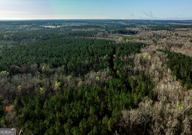 2nd image of 0 Island Creek Rd, Sparta, GA 31087 | MLS# 10726063