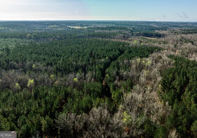 3rd image of 0 Island Creek Rd, Sparta, GA 31087 | MLS# 10726063