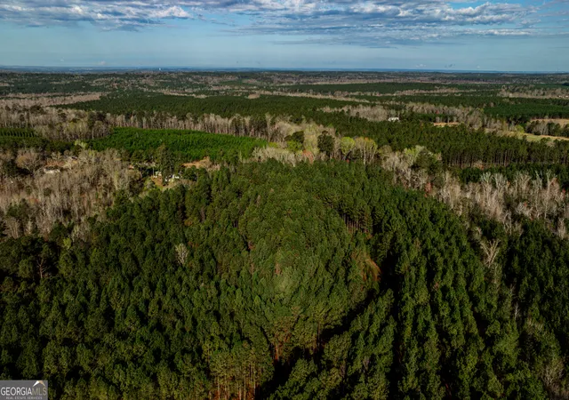 4th image of 0 Island Creek Rd, Sparta, GA 31087 | MLS# 10726063