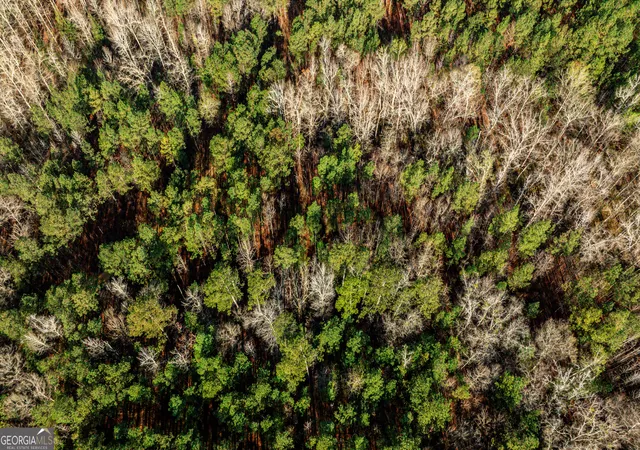 5th image of 0 Island Creek Rd, Sparta, GA 31087 | MLS# 10726063