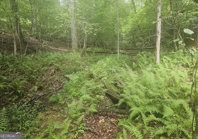 Photo 3 of Land for sale at 0 Watkins Rd, Blue Ridge, GA 30513 | MLS# 10799037 | Listing updated on 2026-07-18