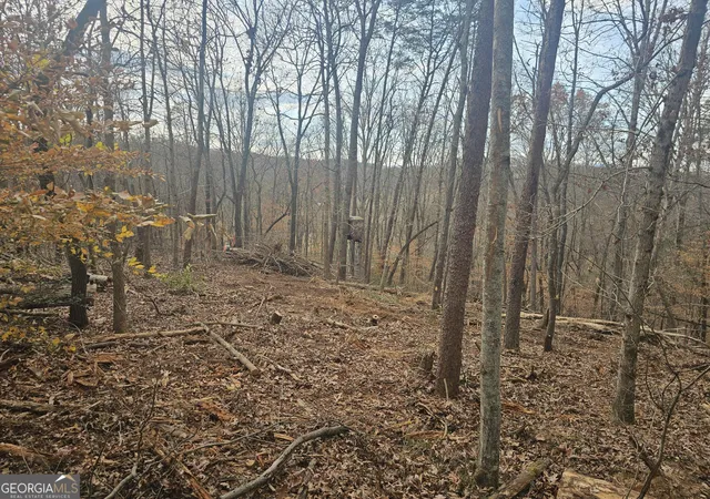 Photo 4 of Land for sale at 0 Watkins Rd, Blue Ridge, GA 30513 | MLS# 10799037 | Listing updated on 2026-07-18