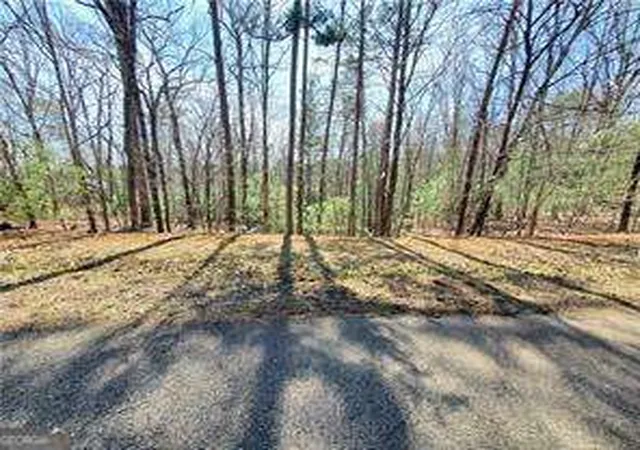 Homes for sale in Ellijay, GA | 0 Trails End Smt, Ellijay, GA 30540 | MLS# 10488729