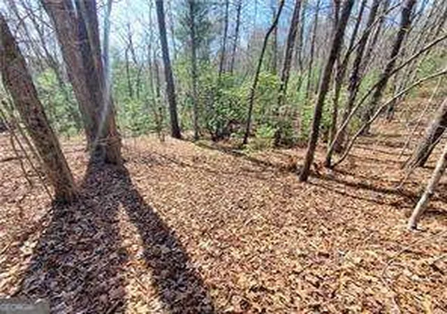 Homes for sale in Ellijay, GA | 0 Trails End Smt, Ellijay, GA 30540 | MLS# 10488729