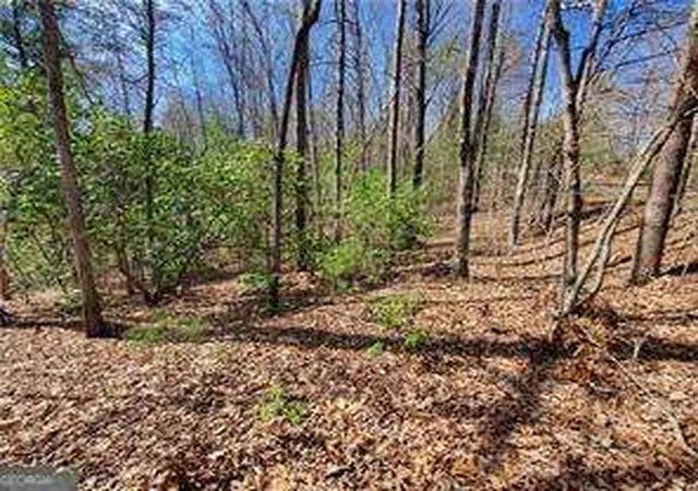 Homes for sale in Ellijay, GA | 0 Trails End Smt, Ellijay, GA 30540 | MLS# 10488729