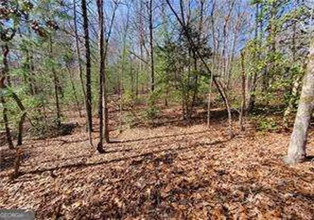 Homes for sale in Ellijay, GA | 0 Trails End Smt, Ellijay, GA 30540 | MLS# 10488729