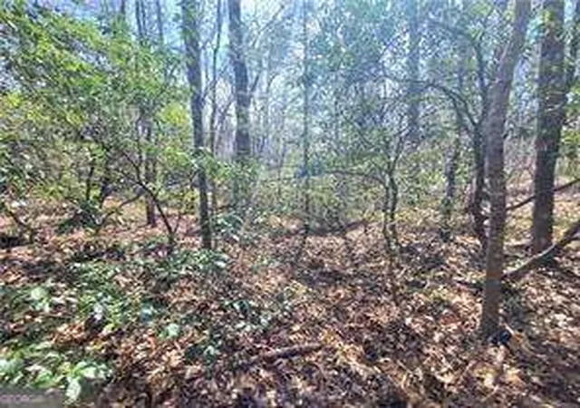 Homes for sale in Ellijay, GA | 0 Trails End Smt, Ellijay, GA 30540 | MLS# 10488729