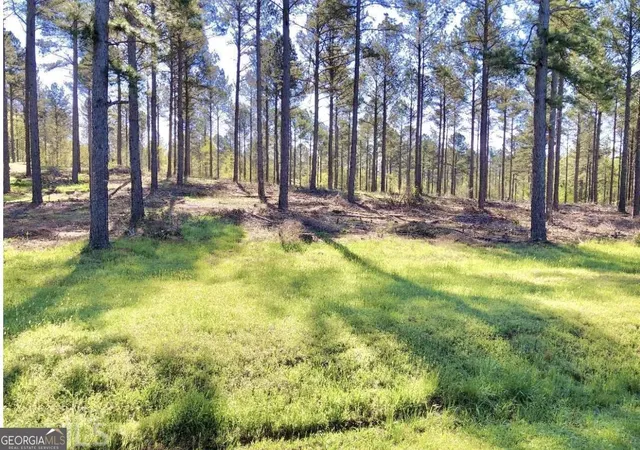 2nd image of 0 Speed Ln, Madison, GA 30650 | MLS# 10766635